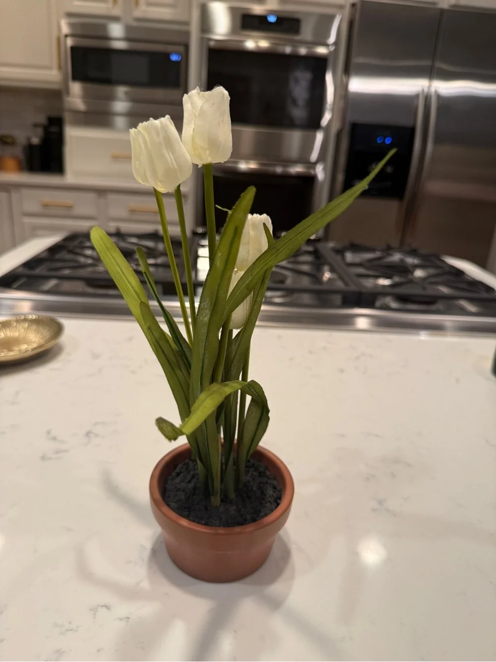 Pottery Barn Faux White Tulip Floral Arrangement Terracotta Pot Cottage Decor